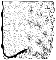 Afbeelding object 95alk1 - 160 - 91wor-3-84