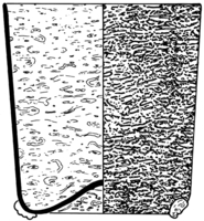 Afbeelding object 95alk1 - 164 - 91wor-3-88
