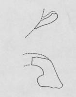 Afbeelding object 05nova zemblaCMA17 - 17/047 - BA-47