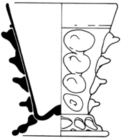 Afbeelding object 99sted - gl 66 - Sis99-Nym99-223 36