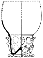 Afbeelding object 95alk1 - 186 - 91wor-3-105