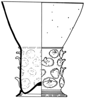 Afbeelding object 95alk1 - 189 - 91wor-3-108