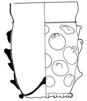 Afbeelding object 99sted - gl 270 - Sis99-Nym99-233 22