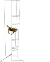 Afbeelding object 17utr19 - 257 - ZEE-1 617-27