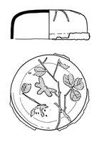 Afbeelding object 05dev4 - GL 1 - DEV 233-572-91