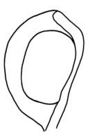 Afbeelding object 22edam1 - 16 - EDAM-20V5000.446