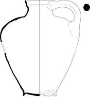 Afbeelding object 23heus2 - 9 - v.309-1