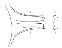 Afbeelding object 23dbo12 - 11 - DBLO.01365KERe0047