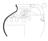 Afbeelding object 23dbo12 - 39 - DBLO.01850KERe003