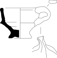 Afbeelding object 25ams44 - 383 - NZR2.00532CER001