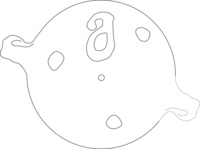 Afbeelding object 25ams44 - 394 - NZR2.00286CER089