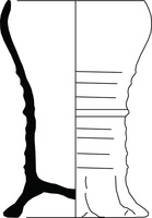 Afbeelding object 25ams44 - 14 - NZD1.00078CER134