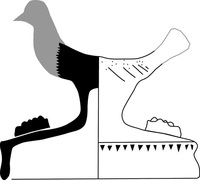 Afbeelding object 25ams44 - 17 - NZD1.00068CER023