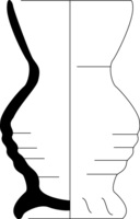 Afbeelding object 25ams44 - 36 - NZR2.00565CER006