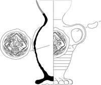 Afbeelding object 25ams44 - 202 - NZR2.00385CER001