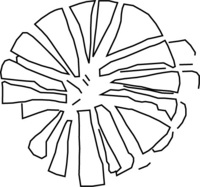 Afbeelding object 25ams44 - 431 - NZR2.00305CER447