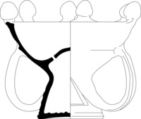 Afbeelding object 25ams44 - 979 - NZD1.00068CER240