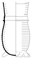 Afbeelding object 25dbo15 - 15 - DBAT_e.64.22