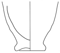 Afbeelding object 03dok1 - 20 - DONL - 02 188-1