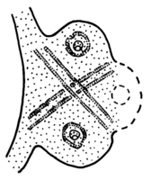 Afbeelding object 97alk2 - 251 - Alk97-93LAN-BP5A AT