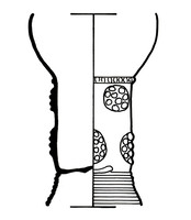 Afbeelding object 01haa4 - 167 - 88-91ANT