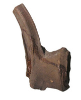 Afbeelding object 07goes2 - 5 - GOES-04 137-2