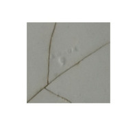 Afbeelding object 10has3 - 3 - Has09Riw07 1-2-200