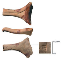 Afbeelding object 09utr4 - 78 - NIE-03 - 388-10