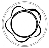 Afbeelding object 07zwo10 - 128 - Zwo-Kra05-22-483