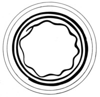 Afbeelding object 07zwo10 - 132 - Zwo-Kra05-22-489