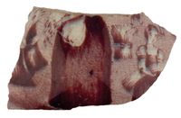 Afbeelding object 07zwo10 - 349 - Zwo-Kra05-22-1281