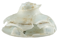 Afbeelding object 07zwo10 - 404 - Zwo-Kra05-22-1519