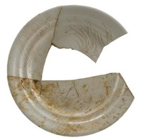 Afbeelding object 11zwo17 - 41 - Zwo11Pan08-35