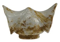 Afbeelding object 11zwo17 - 62 - Zwo11Pan08-53