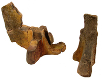 Afbeelding object 06hoo1 - 54 - HOO-WIN04-379-C01