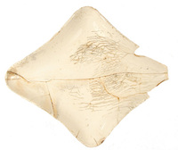 Afbeelding object 06hoo1 - 107 - HOO-WIN04-539-C53