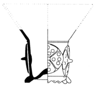 Afbeelding object 01dael - 34 - Dae