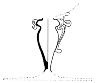 Afbeelding object 01dael - 71 - Dae