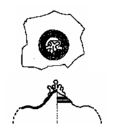 Afbeelding object SCEZ - 65 - div nrs.