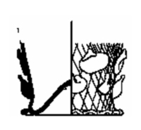 Afbeelding object SCEZ - 118 - div nrs.