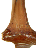 Afbeelding object 09hoo4 - 48 - HOO-BET08-395-C78