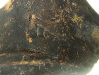 Afbeelding object 09hoo4 - 52 - HOO-BET08-359-C61