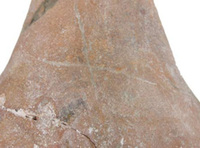Afbeelding object 09hoo4 - 59 - HOO-BET05-092-C01