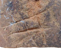 Afbeelding object 09hoo4 - 122 - HOO-BET05-149-C11.