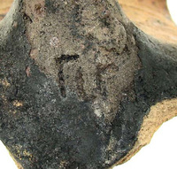 Afbeelding object 09hoo4 - 123 - HOO-BET08-359-C110