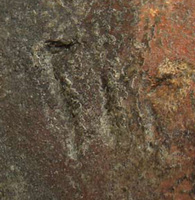 Afbeelding object 09hoo4 - 130 - HOO-BET08-359-C108