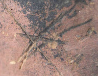 Afbeelding object 09hoo4 - 144 - HOO-BET03-148-C01