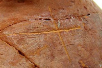 Afbeelding object 09hoo4 - 164 - HOO-BET05-112-C06