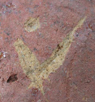 Afbeelding object 09hoo4 - 166 - HOO-BET05-139-C38