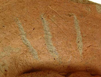 Afbeelding object 09hoo4 - 171 - HOO-BET05-047-C11